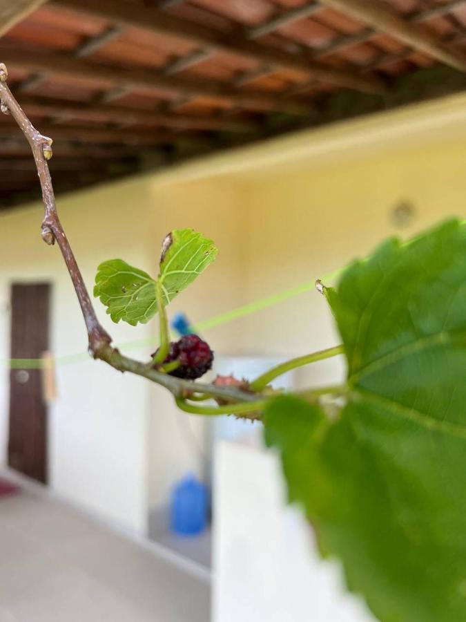 Bem Me Quer Casas Villa Morro de São Paulo Eksteriør billede